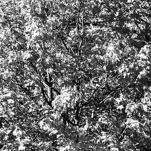 20201107-007.jpg
