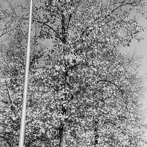 20201107-008.jpg
