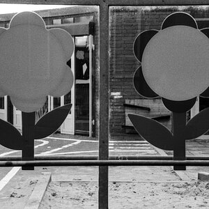 20201107-009.jpg