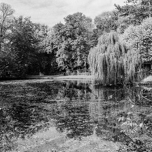 20201107-015.jpg