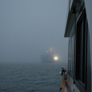 20201111_073546_nf.jpg