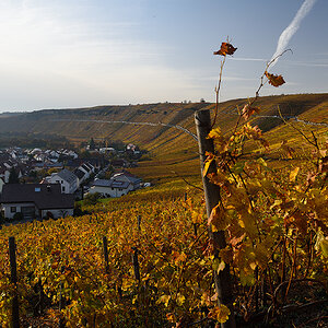 D810_1024x654_DSC7167.jpg