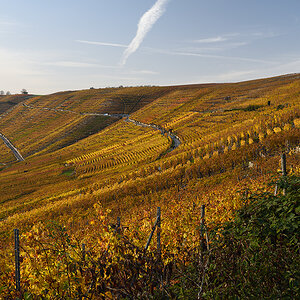D810_1024x654_DSC7171.jpg