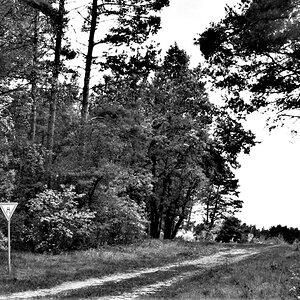 Wege in die Heide.jpg