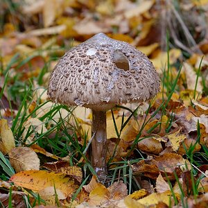 C71_2416.jpg