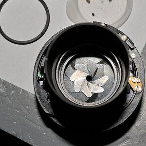DSC_10895.jpg