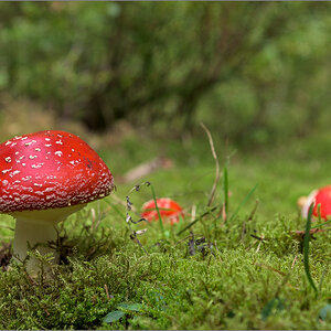 D75_6809.jpg