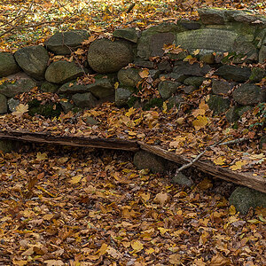 Pesel-Bank (1 von 1).JPG