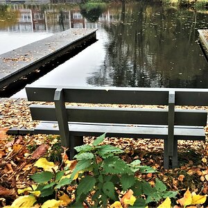 Die Bank am See.jpg