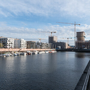 20201115-001.jpg