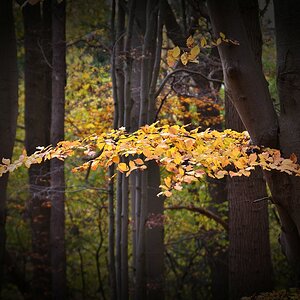 Compressed_0228.jpg