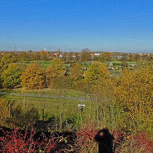 DSCF3368Pxl.jpg