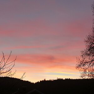 Morgenrot