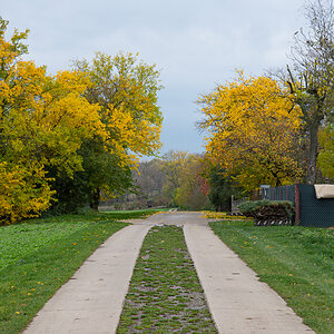 OF2_44786.jpg