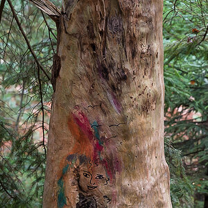 Kunst am Baum (1 von 1).JPG