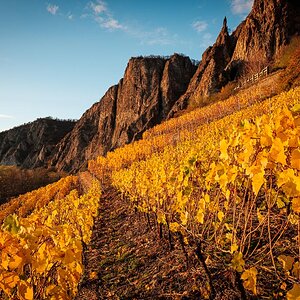 Herbstfarben-4534.jpg
