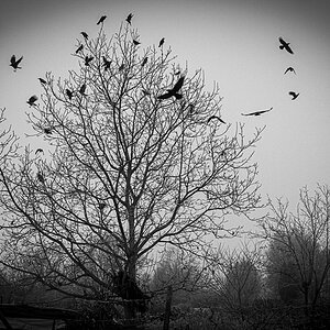 Winter is coming.