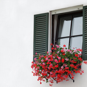 Bayerisches Fenster