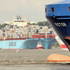 maersk salina 05.08.09 eindrehen parkhafen