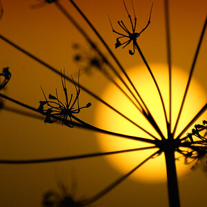 Sonnenaufgang