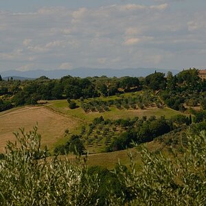 2009 Toskana 4