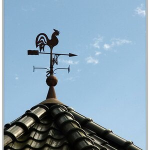 Wetterhahn6724