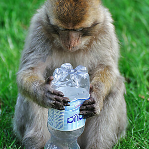 Flasche leer 2
