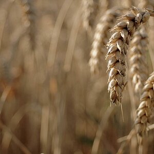 DSC 6949