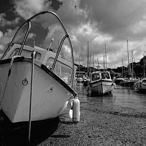 Ilfracombe (Devon)