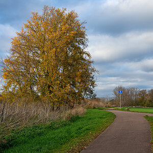 OF2_45137.jpg