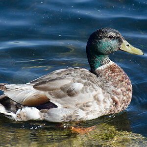 DSC_8157.jpg