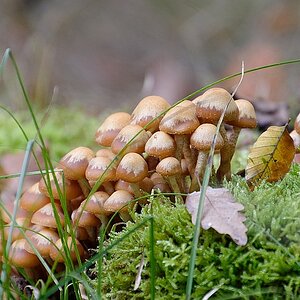 C71_2149.jpg