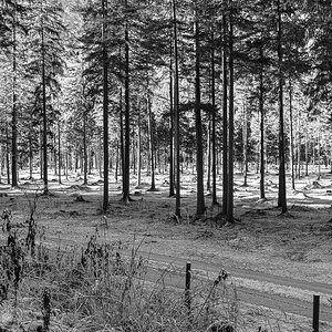 DSC_0985-2.jpg