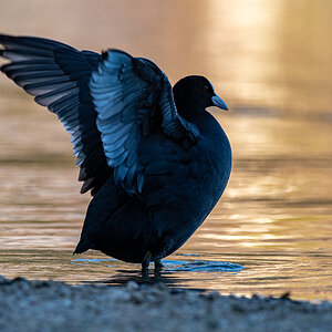 DSC_1161.jpg