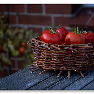 20201102_Balkon-Tomaten_0001-WEB-FORUM.jpg