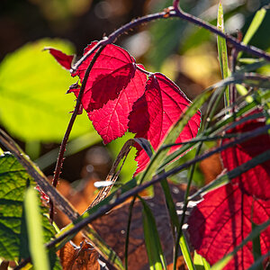 OF5_06051.jpg