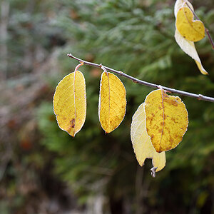D810_1000x668_DSC7193.jpg
