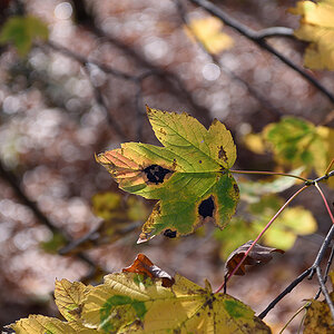 D810_1000x668_DSC7202.jpg