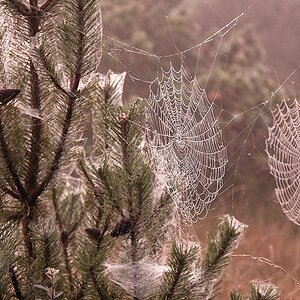 Herbstmorgen