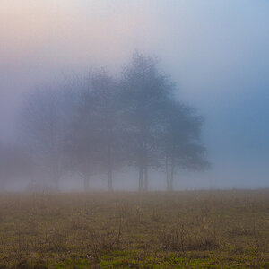 Z7H_085.jpg