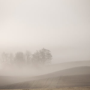 _DSC0446-Bearbeitet-1.jpg