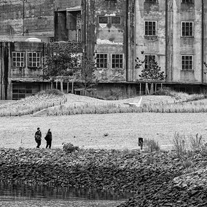 D50_8717##.JPG