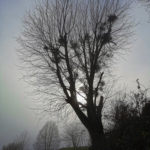 IMG_20201126_144400.jpg
