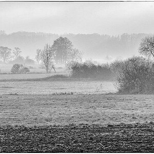 Seewiesen BW (1 von 1).JPG