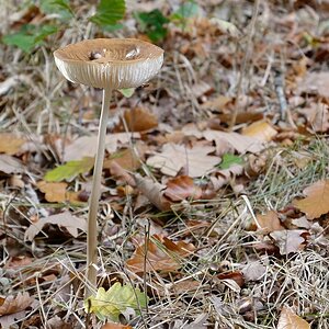 C71_2159.jpg