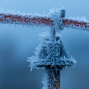 HAR_0035-2.jpg