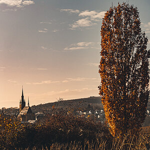 Blick auf Kiedrich