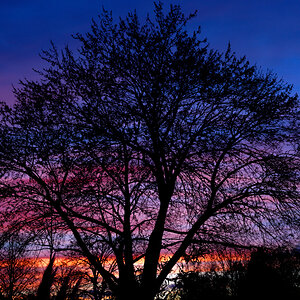 NZ6_6196_DxO.jpg