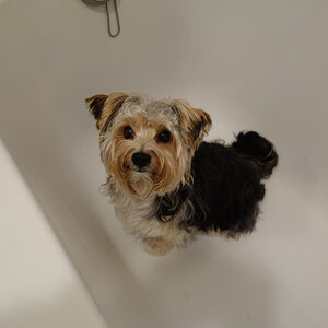 bibobadewanne.jpg