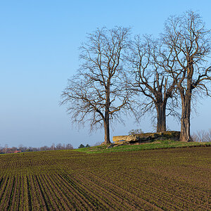 OF2_45766.jpg